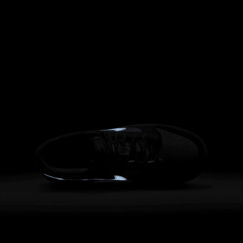 Buty Junior Nike Dunk Low FV0374-100