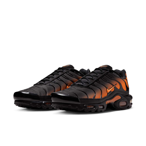 Buty męskie Nike Air Max Plus DM0032-025