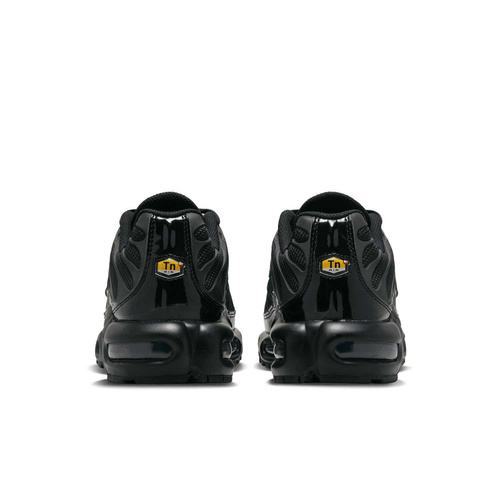 Buty damskie Nike Air Max Plus FB8479-001