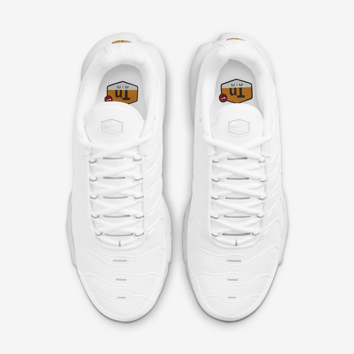 Buty sportowe damskie Air Max Plus DM2362-100