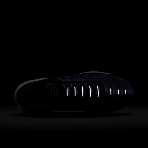 Buty męskie Nike Air Max Plus OG DX0755-500