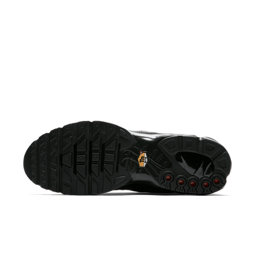 Buty męskie Nike Air Max Plus AJ2029-001