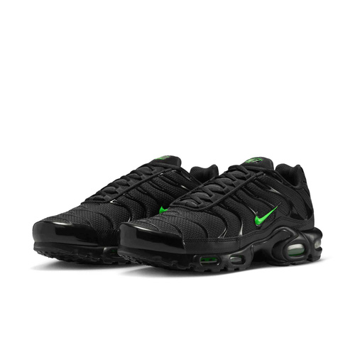 Buty męskie Nike Air Max Plus DM0032-024