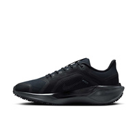 Buty damskie Nike Pegasus 41 GORE-TEX FQ1357-001
