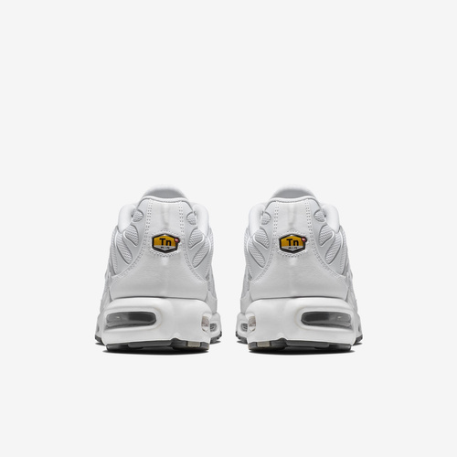 Buty męskie Nike Air Max Plus 604133-139