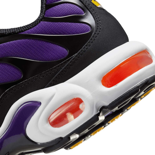 Buty męskie Nike Air Max Plus OG DX0755-500