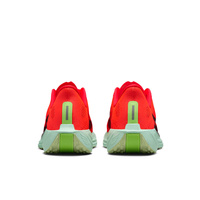 Buty męskie Nike Pegasus Plus FQ7262-600