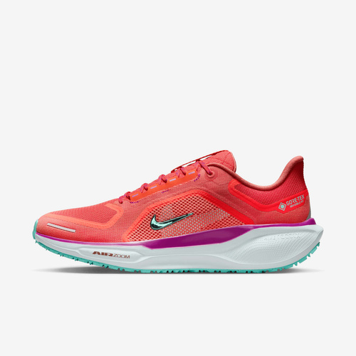 Buty męskie Nike Pegasus 41 GORE-TEX HM8872-600