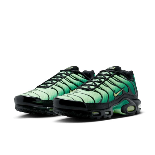 Buty męskie Nike Air Max Plus DM0032-301