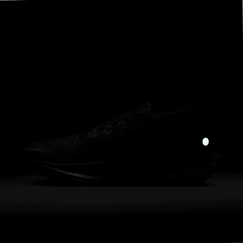 Buty męskie Nike Pegasus Trail 5 GORE-TEX FQ0908-002