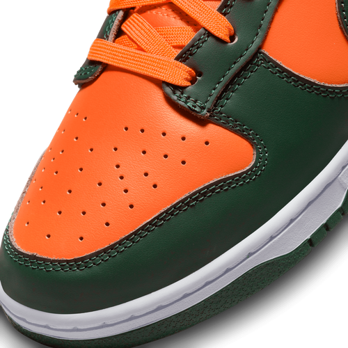 Buty męskie Nike Dunk Low Retro DD1391-300