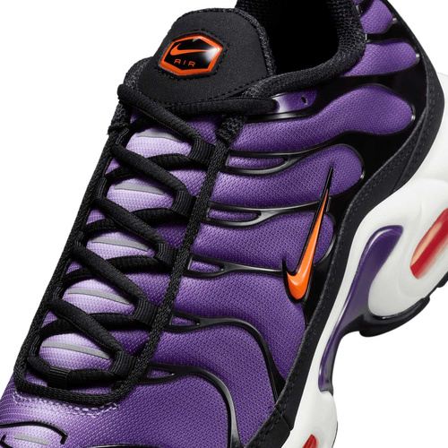 Buty męskie Nike Air Max Plus OG DX0755-500