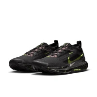 Buty męskie Nike Pegasus Trail 5 GORE-TEX FQ0908-014