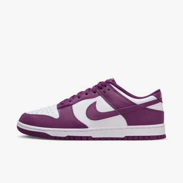 Buty męskie Nike Dunk Low Retro DV0833-107