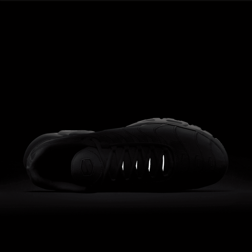 Buty męskie Nike Air Max Plus AJ2029-100