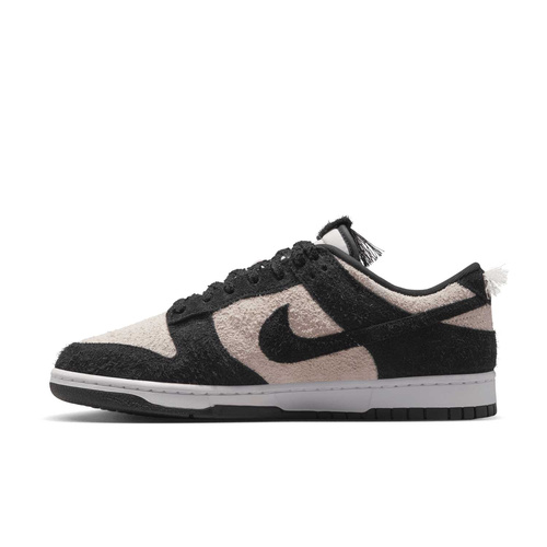 Buty męskie Nike Dunk Low Retro SE IB2990-100