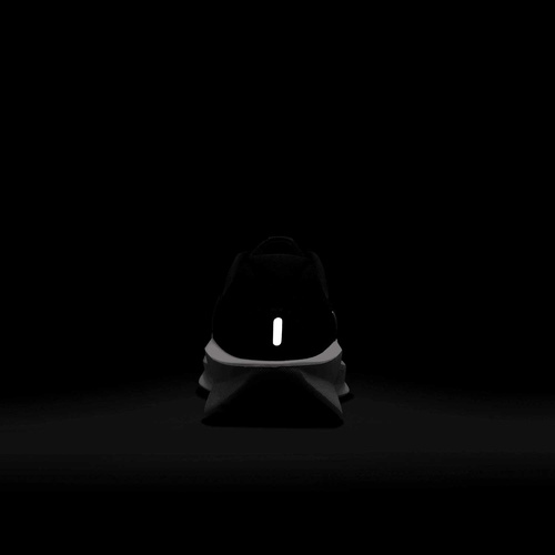 Buty męskie Nike Downshifter 13 FD6454-001