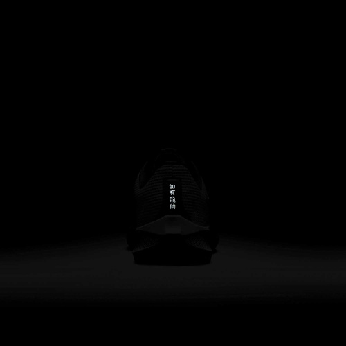 Buty męskie Nike Pegasus 40 FZ5055-101