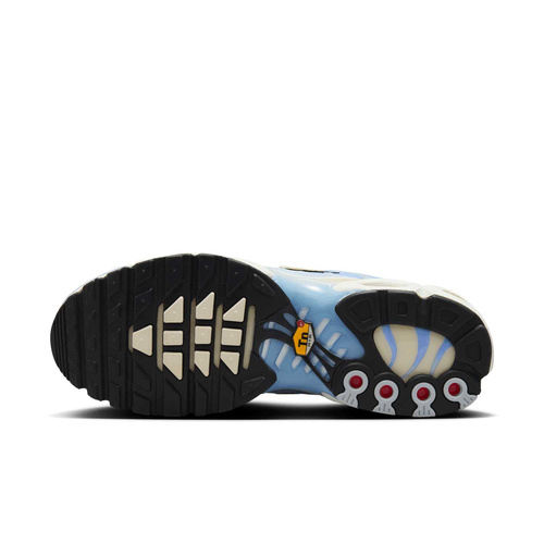 Buty damskie Nike Air max Plus DZ3670-004