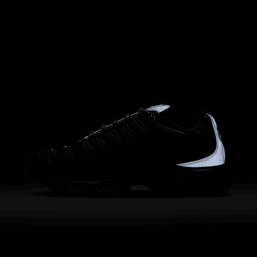 Buty męskie Nike Air Max Plus FV0385-001