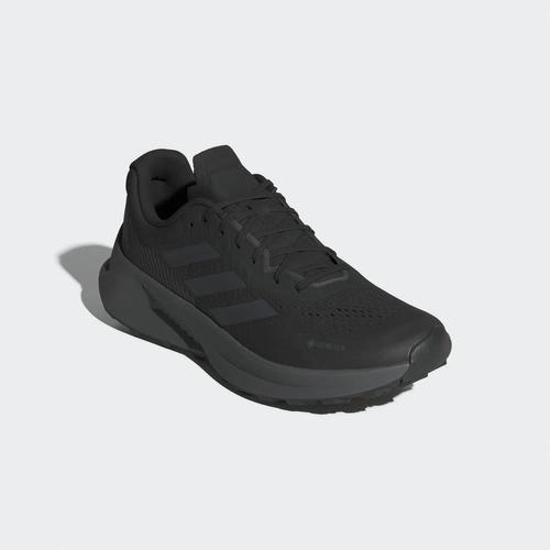 Buty męskie adidas Terrex Soulstride Flow Gore-Tex JI2172