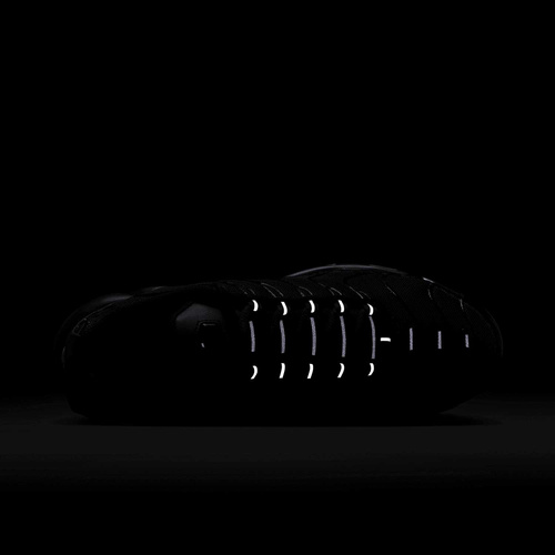 Buty damskie Nike Air Max Plus DM2362-002