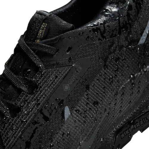 Buty damskie Nike Pegasus Trail 5 GORE-TEX FQ0912-002