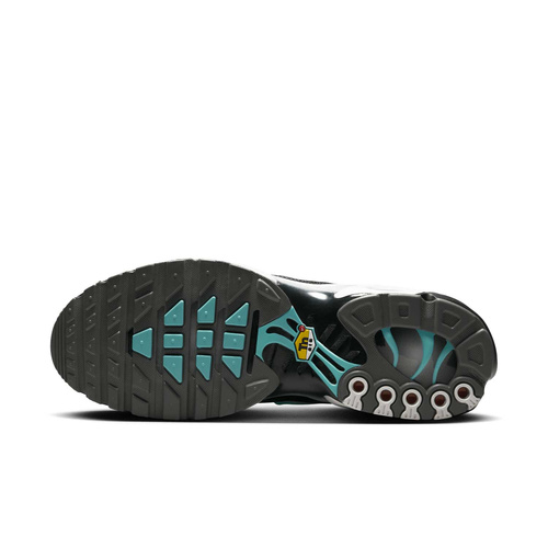 Buty męskie Nike Air Max Plus HV6225-100
