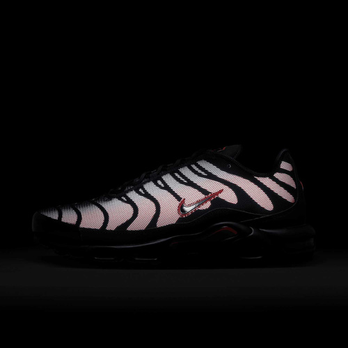 Buty męskie Nike Air Max Plus DZ4507-600