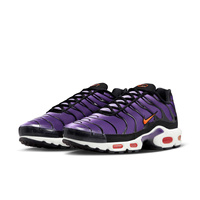 Buty męskie Nike Air Max Plus OG DX0755-500