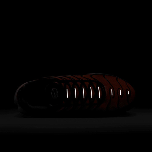 Buty męskie Nike Air Max Plus DM0032-014