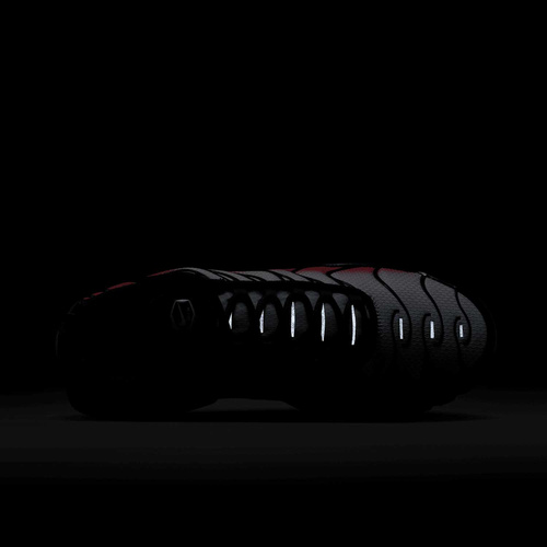 Buty męskie Nike Air Max Plus DM0032-017