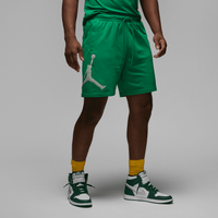 Spodenki męskie Air Jordan M J Ess Flc Hbr Short DX9667-310