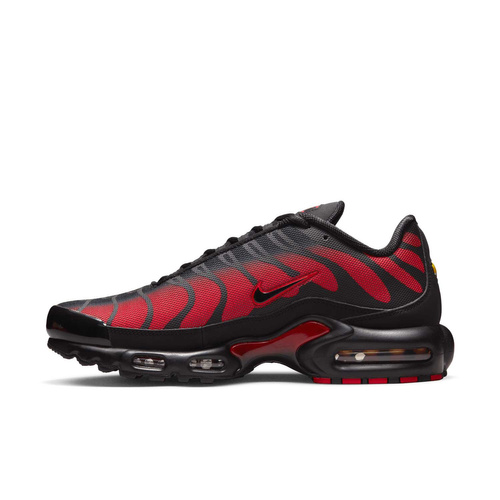 Buty męskie Nike Air Max Plus DZ4507-600