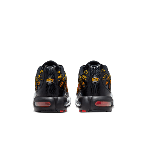 BUTY MĘSKIE NIKE AIR MAX PLUS DX2665-001