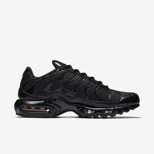 Buty męskie Nike Air Max Plus 604133-050