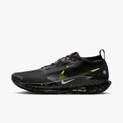 Buty sportowe męskie Nike Pegasus Trail 5 GORE-TEX FQ0908-014