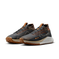 Buty męskie Nike Pegasus Trail 4 Gore-Tex FD5841-001