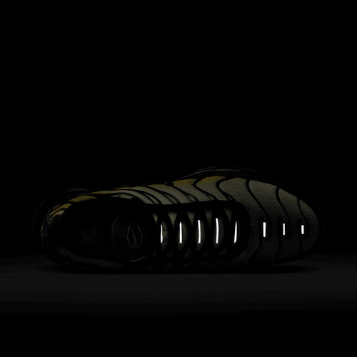 Buty męskie Nike Air Max Plus DM0032-023