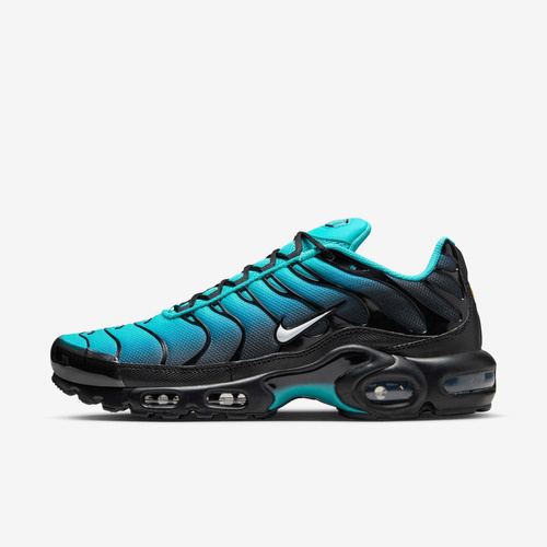 Buty męskie Nike Air Max Plus DM0032-401