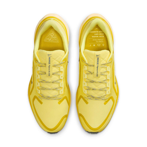 Buty męskie Nike Pegasus 41 GORE-TEX FQ1356-700