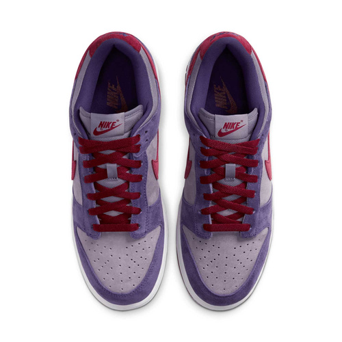 Buty męskie Nike Dunk Low Special Edition CU1726-500