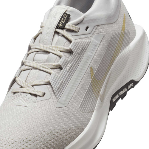 Buty damskie Nike Pegasus Trail 5 GORE-TEX FQ0912-008