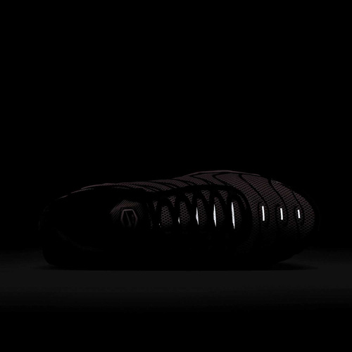 Buty męskie Nike Air Max Plus HF3837-600