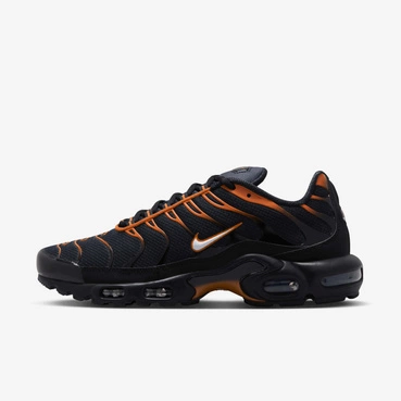 Buty męskie Nike Air Max Plus FN6949-400