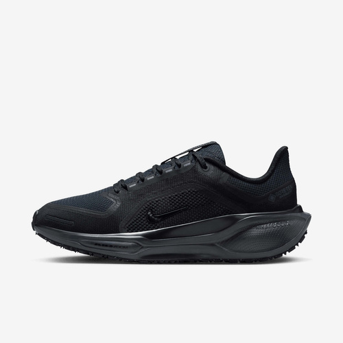 Buty damskie Nike Pegasus 41 GORE-TEX FQ1357-001