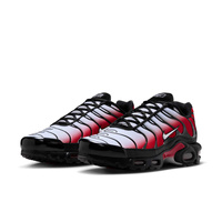 Buty męskie Nike Air Max Plus DM0032-017
