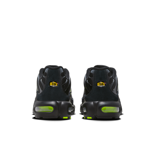 Buty męskie Nike Air Max Plus FQ2381-001