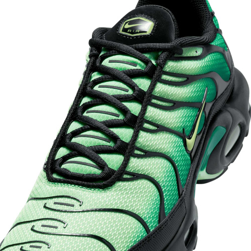 Buty męskie Nike Air Max Plus DM0032-301