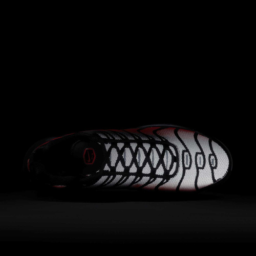 Buty męskie Nike Air Max Plus DZ4507-600